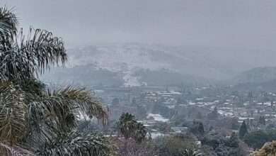 Joburgers are happy about the rare snowfall, which makes for hilarious reactions.