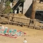 EFF Leader Julius Malema Mourns Tragic Loss of Party Member Electrocuted While Postering