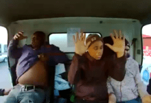 Heartbreaking Incident in Delft