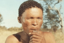 The Gods Must Be Crazy Actor 220x150