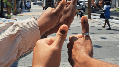 South Africans Abroad Turn Out in Large Numbers to Vote in General Elections
