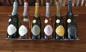 Cool Wines From Elgin