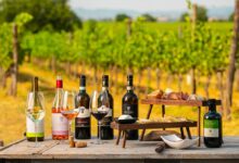 South African Wine Tasting Experiences A Wine Lover's Guide