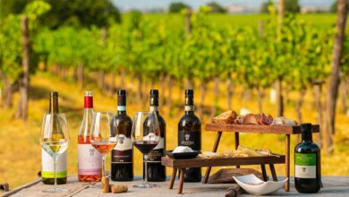 South African Wine Tasting Experiences A Wine Lover's Guide