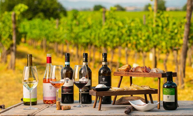 South African Wine Tasting Experiences A Wine Lover's Guide
