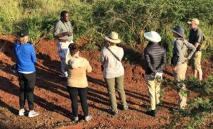 Understand the Wildlife Etiquette