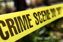 Men Who ‘killed, fed women to pigs’ Revealed (PICS)