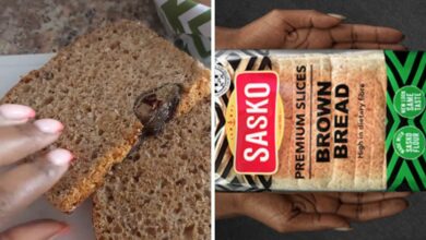 Sasko Denies Bread Recall After Rat Found in Loaf