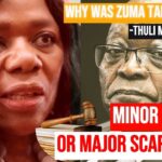 Thuli Madonsela Questions Jacob Zuma's Prosecution Over Arms Deal