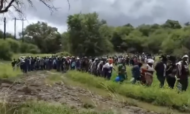 SANDF Arrests 1,174 Undocumented Migrants at SA Border