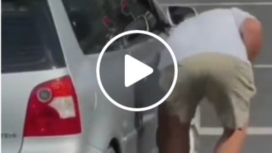 Cape Town Motorist Fined R500 After Viral Littering Video