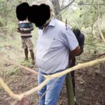 Pretoria Farmer Robbed and Tied to Tree During Fake Property Viewing