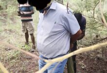 Pretoria Farmer Robbed and Tied to Tree During Fake Property Viewing