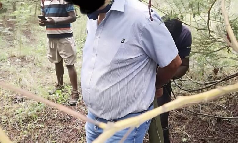 Pretoria Farmer Robbed and Tied to Tree During Fake Property Viewing