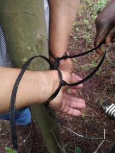 G9pXiMXXAAERHd1 225x300