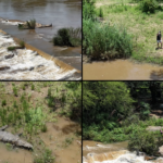 Search Ends After Remains Believed to Be Missing SANDF Soldier Found