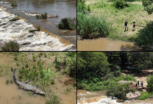 Search Ends After Remains Believed to Be Missing SANDF Soldier Found