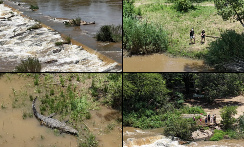 Search Ends After Remains Believed to Be Missing SANDF Soldier Found