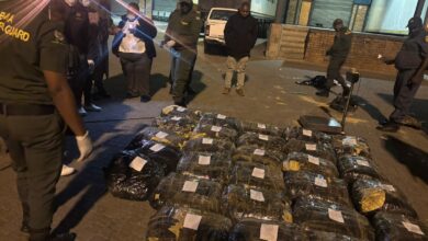 R1 Billion Drug Consignment Intercepted at Beitbridge